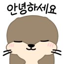 제주더함