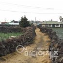 대상여행사㈜ 이미지