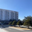 솔샘 | 소노벨 청송 솔샘온천 솔직후기 스위트 클린 스탠다드 더블 (객실 + 사우나)