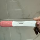 우럼마김밥 - 광진구 긴고랑로11길 8 | 임신5주~16주 임산부 일상 저 임신했어요~~!(장꾸맘 후기 있음)