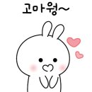 꽃;느루 이미지