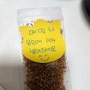 봉평맛지기