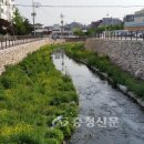 성정천 이미지