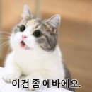 라공방 이미지