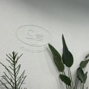 파스쿠찌 광주충장점 이미지