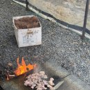 동명농장 이미지