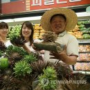농협유통하나로클럽주 이미지