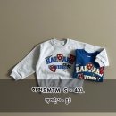 하로하로 이미지