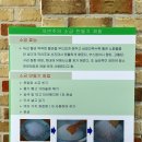 용냇골권역