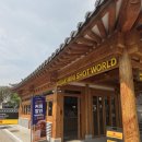 수원 행궁동 가볼만한곳 앤티앤스 코닥 팝업 카페 데이트 코스 추천 (내돈내산)