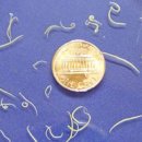 마이펫동물약국 이미지