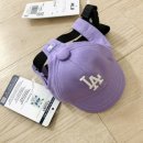 힐링펫샵 이미지