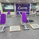 커브스 수택클럽 | 커브스 운동 수택클럽 내돈내산 후기! (가격, 가입비 정보 포함)