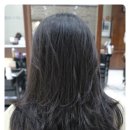 한스헤어 이미지