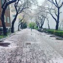 6단지와 별양동주택 사잇길 네이버블로그