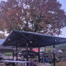 느티나무집 | 보령 독채펜션 추천, 넓은 잔디마당이 있는 느티나무집 후기