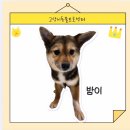 토실 토실 이미지