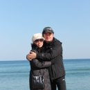 비취 Daum카페