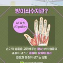 튼튼한한의원 네이버블로그