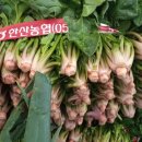 통영이야기