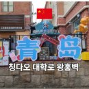 소품샵담쟁이 | 칭다오 대학로 왕홍벽 산책 후기 위치 분위기 벽화거리