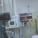 CT모텔 | 태국 버스 사고 해결과정