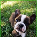 숲 동물의료센터 이미지