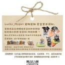 몰포 | [여행] 260517 다롄(대련) 3일차 | 갤러리아 빅유마트, 신흥전승, 동관지에, 서안로 야시장
