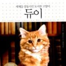 듀이