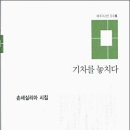 기차를 놓치다 - 손세실리아 시집 / 애지 이미지