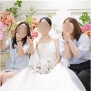 나도 디지털 카메라(DSLR) 사진 작가 | [결혼준비] #3. 본식스냅/본식DVD/아이폰 스냅 계약 - 퍼스널서울, 코지레코드, 리피스냅 (역삼 아모리스)