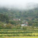 부수리 Daum카페