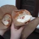 더마틴