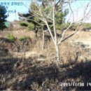제일리