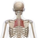 SUIT GYM(수트짐) 이미지