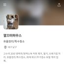 깔끄미하우스 이미지