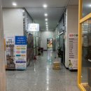 육대육 이미지