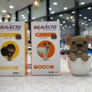 청춘약국 이미지