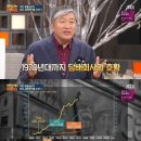 담배 필터 개발 후 변한 폐암 발병율 이미지