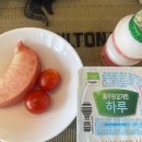 베스트루이스해밀턴호텔창원 | [블챌] 스페셜 포토덤프 7주차 || 베스트 루이스 해밀턴 호텔 창원 | 호캉스 짧은후기