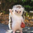 필당구클럽 이미지