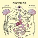 고려수지침요법학회 이미지
