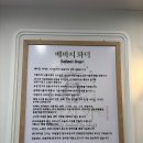 베바치 화덕 | 쫀득쫀득 종로빵 맛집 베바치 화덕 방문 후기