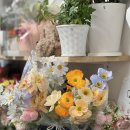 꽃을닮다루체테플라워 이미지