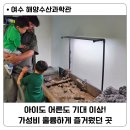 여수 해양수산과학관 가볍게 아이랑 가볼만한 곳 / 가성비 좋았던 추천 후기