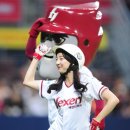 강호크리닝 이미지