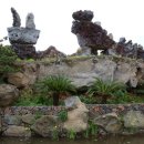 제주 자락 이미지