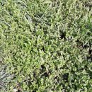 초촌농장 이미지