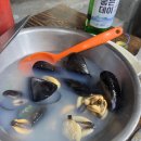 미경이네 이미지