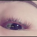 미모당 이미지